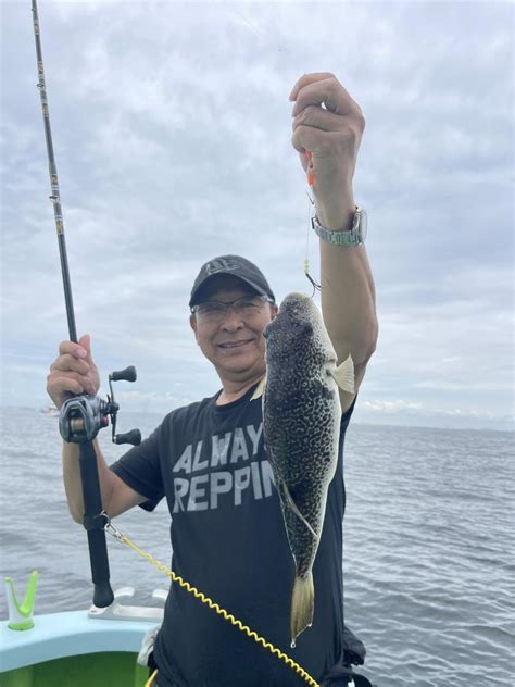 フグの釣果｜2024年6月9日｜野毛屋釣船店（神奈川県金沢八景平潟）｜キャスティング釣り船予約