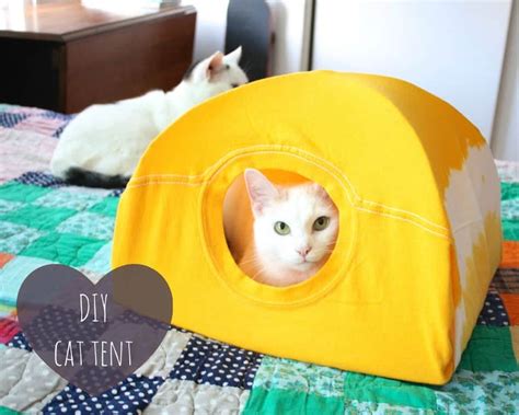 15 Cool Diy Cat Houses Obsigen