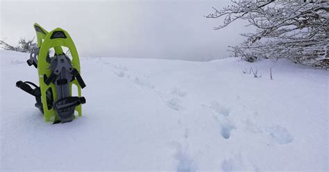 Ciaspolata Al Monte Falterona Escursione Guidata Con Le Ciaspole Nel