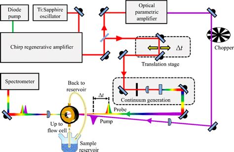 Schematic Of A Typical Transient Electronic Absorption Spectroscopy