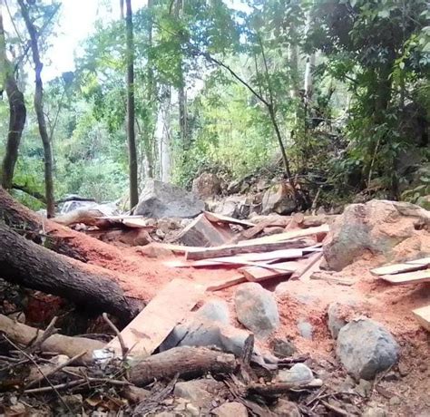 Incautan Metros C Bicos De Madera Ilegal En Gu Rico Ltimas