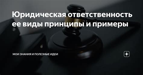 Юридическая ответственность ее виды принципы и примеры | Здесь всё для ...