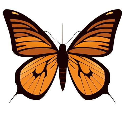 Premium Vector Flight Of Beauty Graceful Monarch Butterfly