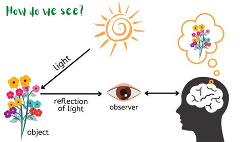 Explained! Reflection of Light, Specular Reflection, Diffused ...