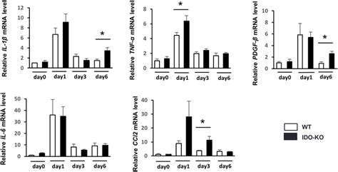 Mrna Expression Of Pro Inflammatory Cytokines And Fibrogenic Factors