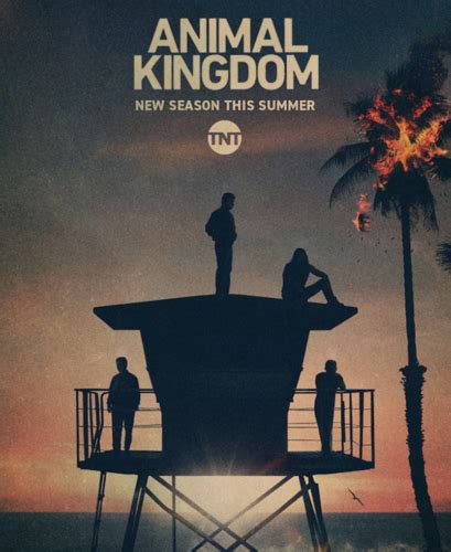 Animal Kingdom: Season Six; TNT Series Gets Early Renewal for Final ...