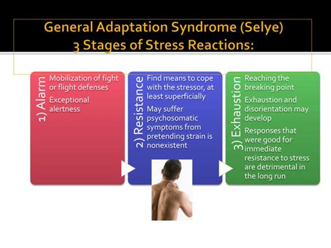 Ppt Chapter 17 Stress And Health Powerpoint Presentation Free Download Id 2430527