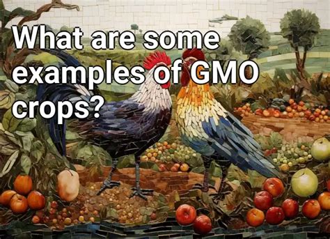 What are some examples of GMO crops? – Agriculture.Gov.Capital