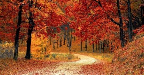 Dove Ammirare Il Foliage D Autunno In Lazio Ecco Luoghi Che Ti