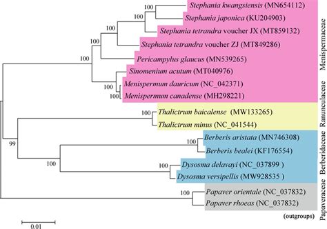 Phylogenetic relationships based on the conserved chloroplast protein ... 