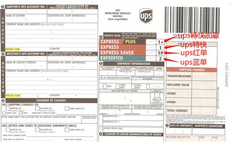 UPS快递中红单蓝单分别是什么意思 飞时达快递官网国际件价格优惠80