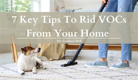 How To Get Rid Of VOCs In Your Home The Ultimate Guide 7 Key Tips