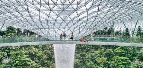 Complete Guide to Canopy Park in Jewel Changi Airport, Singapore - Trevallog