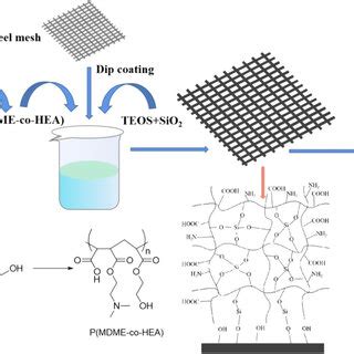 Schematic Diagram Illustrating The Fabrication Of Superhydrophilic