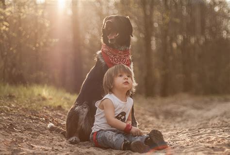 Fonds d ecran Chien Garçon S asseyant Enfants Animaux télécharger photo