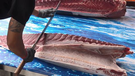 Worlds Sharpest Knife Cut Giant Bluefin Tuna 巨大黑鮪魚切割秀鮪魚金三角