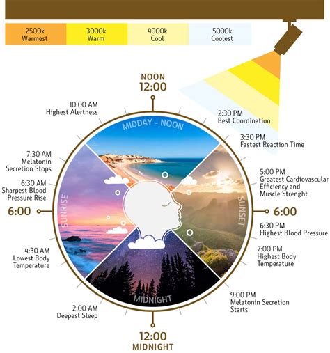 Circadian Lighting System Australia | Shelly Lighting