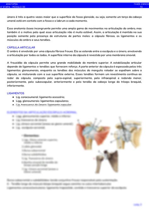 SOLUTION Articulações e Ligamentos do Membro Superior Studypool