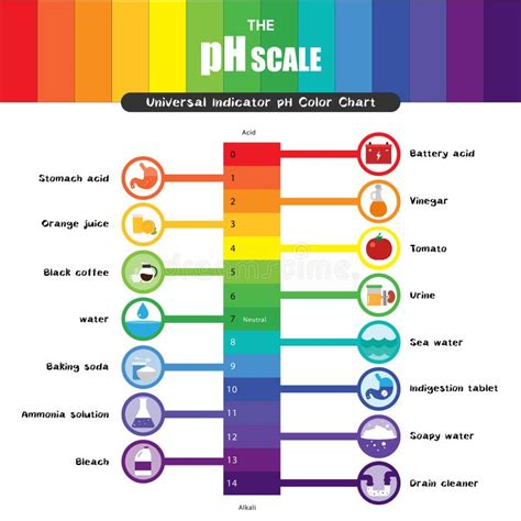 Il Diagramma Di Grafico A Colori Universale Dell Indicatore Ph Della