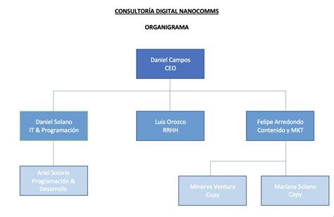 Esquema Gráfico » Ejemplos y Formatos Excel, Word, PDF【2025