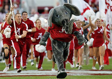 Big Al The Elephant Mascot One Of Many Proud Alabama Football