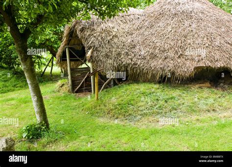 The Iron Age Roundhouse In The Twigs Gardens In Swindon Wiltshire