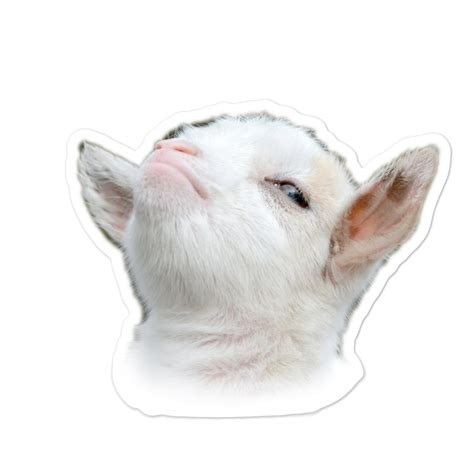 Goat Head Stickers The Chillest Chill