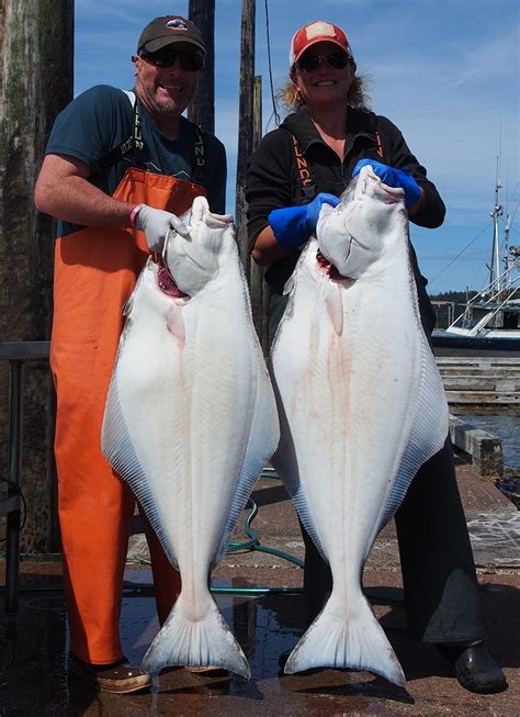 Alaskan Halibut Fish