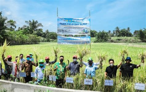 Jaga Ketahanan Pangan PIM Gandeng PKG Bantu Petani Tingkatkan Hasil Panen