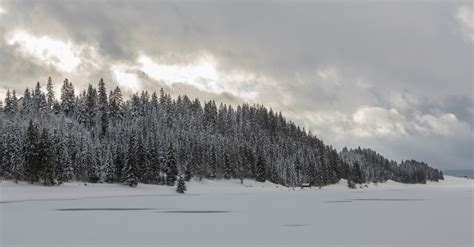 Free Images Tree Snow Winter Cloud Mountain Range Weather