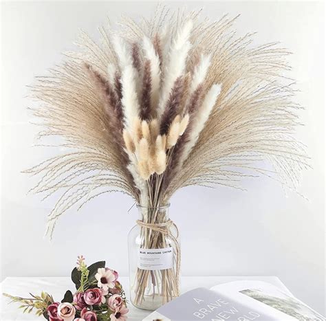 Dried Pampas Grass Decor 80 Pcs Pampas Grass Contains Bunny Tails Dried Flowers Reed Grass