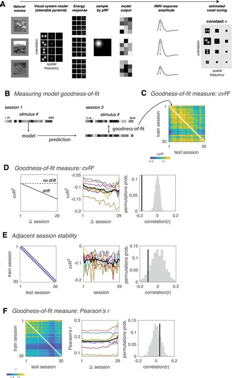 Changes In Cross Session Generalization Indicate Representational