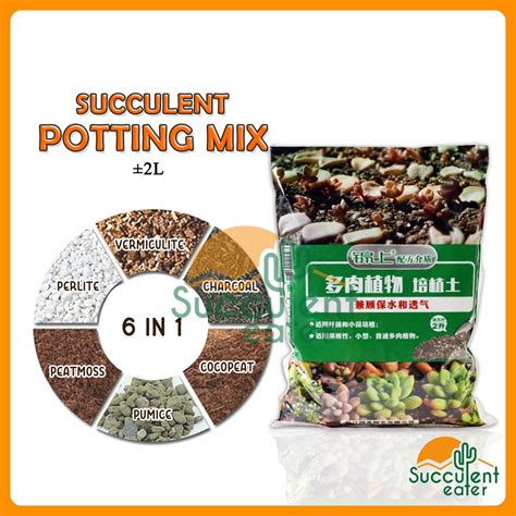 L Cactus Succulent Potting Mix Plant Soil Stone Tanah Baja Gardening