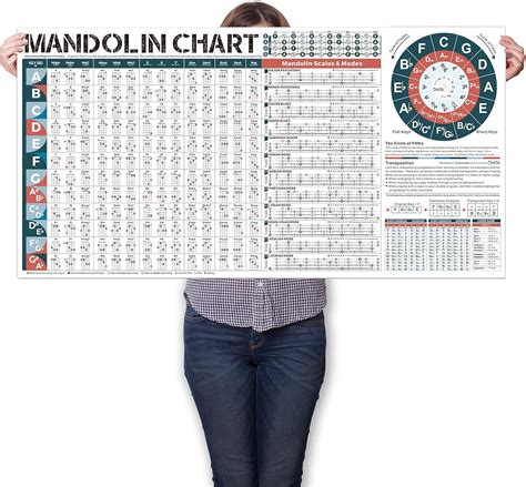 Mandolin Chord Chart Laminated Of Popular Mandolin Chords Mandolin Scales Mandolin Fretboard