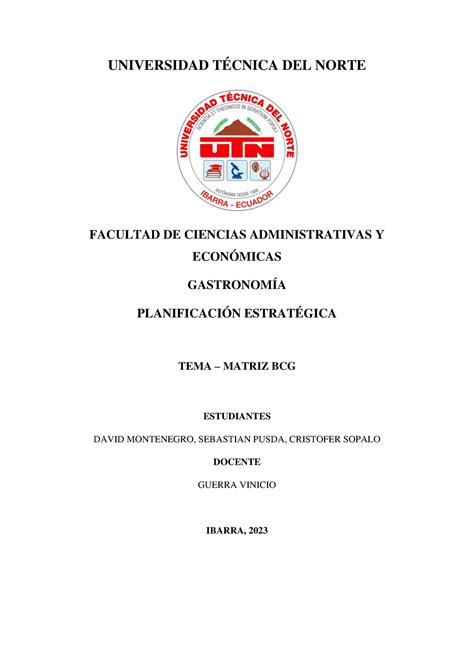 Tarea 9 MODELO ANALÍTICO PARA FORMULACIÓN DE ESTRATEGIAS