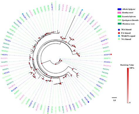 Figure From Molecular Identification And Expression Patterns Of