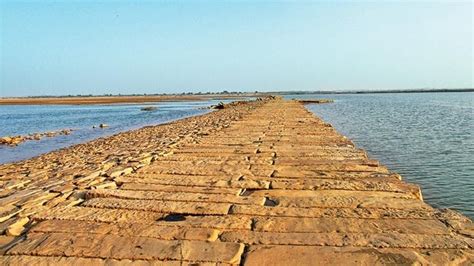 Stone Causeway Of Grand Trunk Road Discovered In Bihar