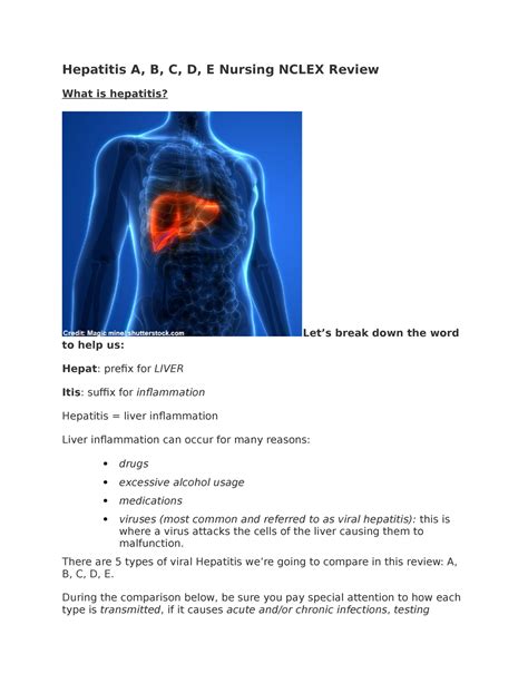 Hepatitis Critical Care Hepatitis A B C D E Nursing Nclex