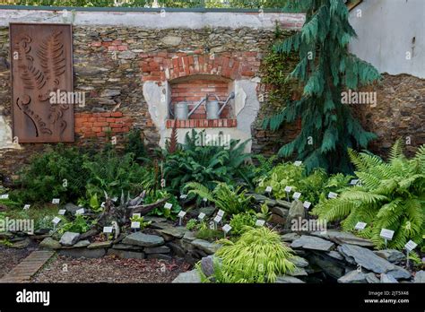 Arboretum Wojslawice Lower Silesia Poland Stock Photo Alamy