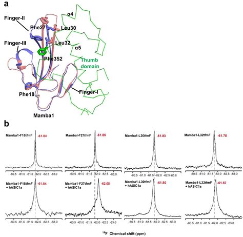 Figures And Data In Structural Insights Into Human Acid Sensing Ion