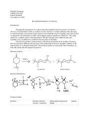 Lab Reduction Of A Ketone Docx Danielle Savastano Chem