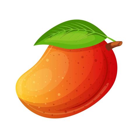 Ilustraci N De Vector De Dibujos Animados De Hoja De Mango