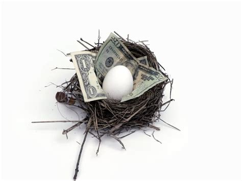 Retirement Nest Egg Stock Photo Image Of Investing 401k 35092858