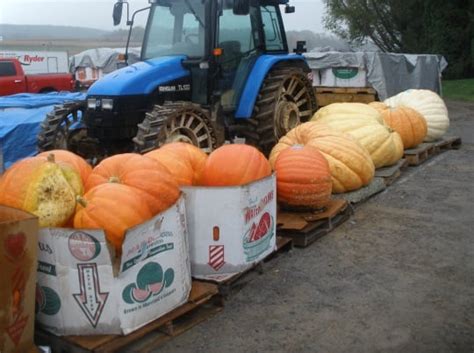 Measuring Amish Wealth And Poverty” Amish America