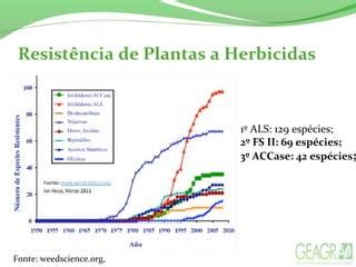 HERBICIDAS INIBIDORES DE ACCase FOTOSSISTEMA I E FOTOSSISTEMA II PPT