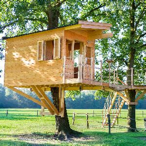 Construire Une Maison En Bois Dans Les Arbres Ventana Blog