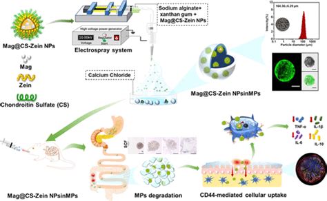 Oral Core Shell Nanoparticles Embedded In Hydrogel Microspheres For The