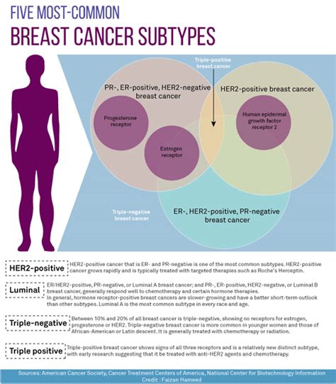 Neoadjuvant Therapy Melbourne, VIC | Adjuvant Systemic Therapy ...