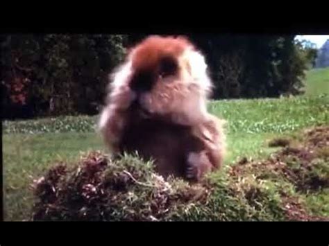 Favorite Scenes in Movies: Caddyshack! - YouTube