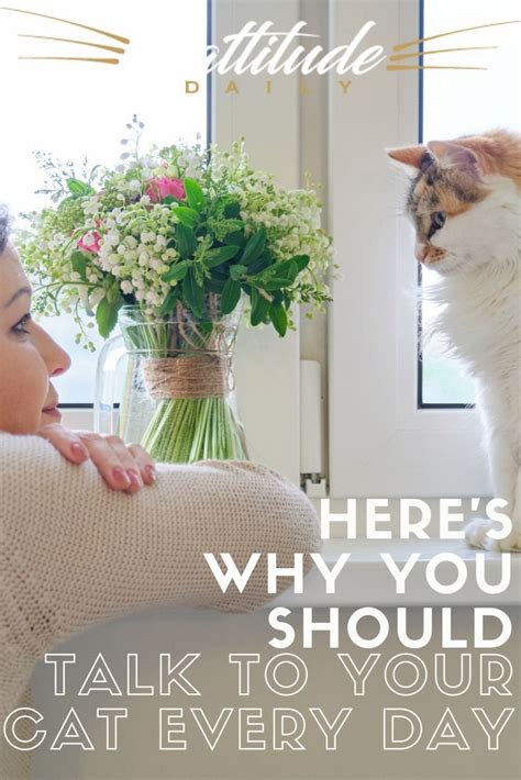 Heres Why You Should Talk To Your Cat Every Day Cat Care Cat Care